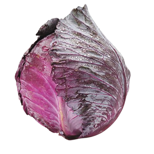 Red Cabbage