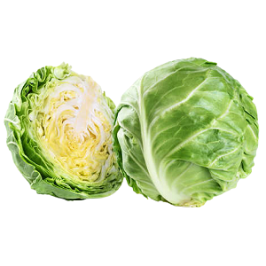 Fresh Cabbage